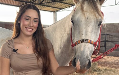 Pelagem e Saúde de Casco | Equilíbrio Equino