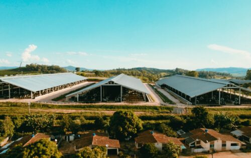 Sucesso no Controle da Diarreia Neonatal com o Gel Entérico Homeo-Vita Stop-D®